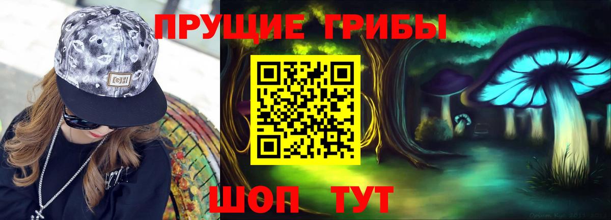 Новотроицк  Псилоцибиновые грибы GOLDEN TEACHER  Псилоцибиновые грибы ЛСД  Вход с VPN 